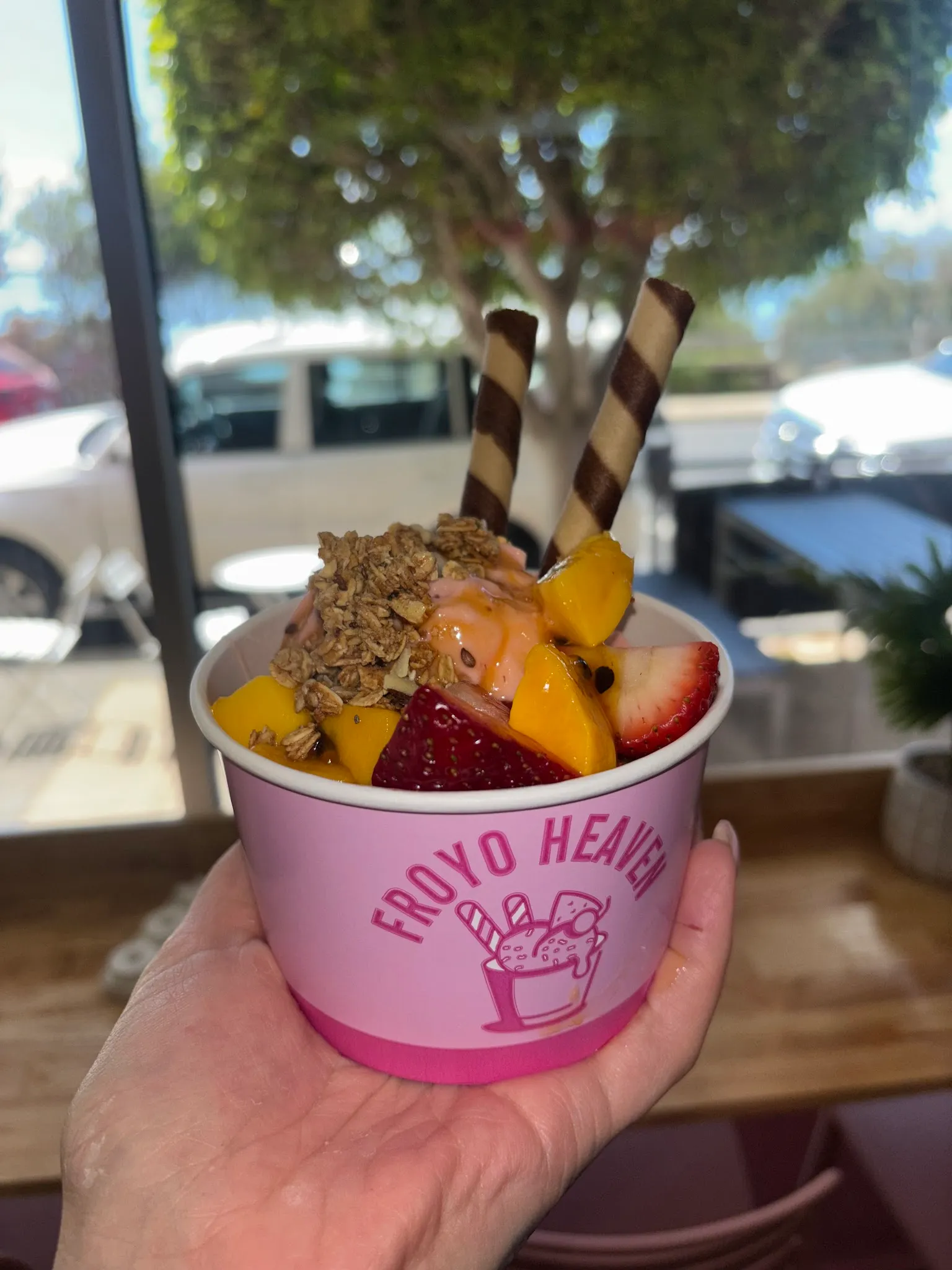 Froyo Heaven cup with strawberries, mango, granola and wafer sticks against a sunny window