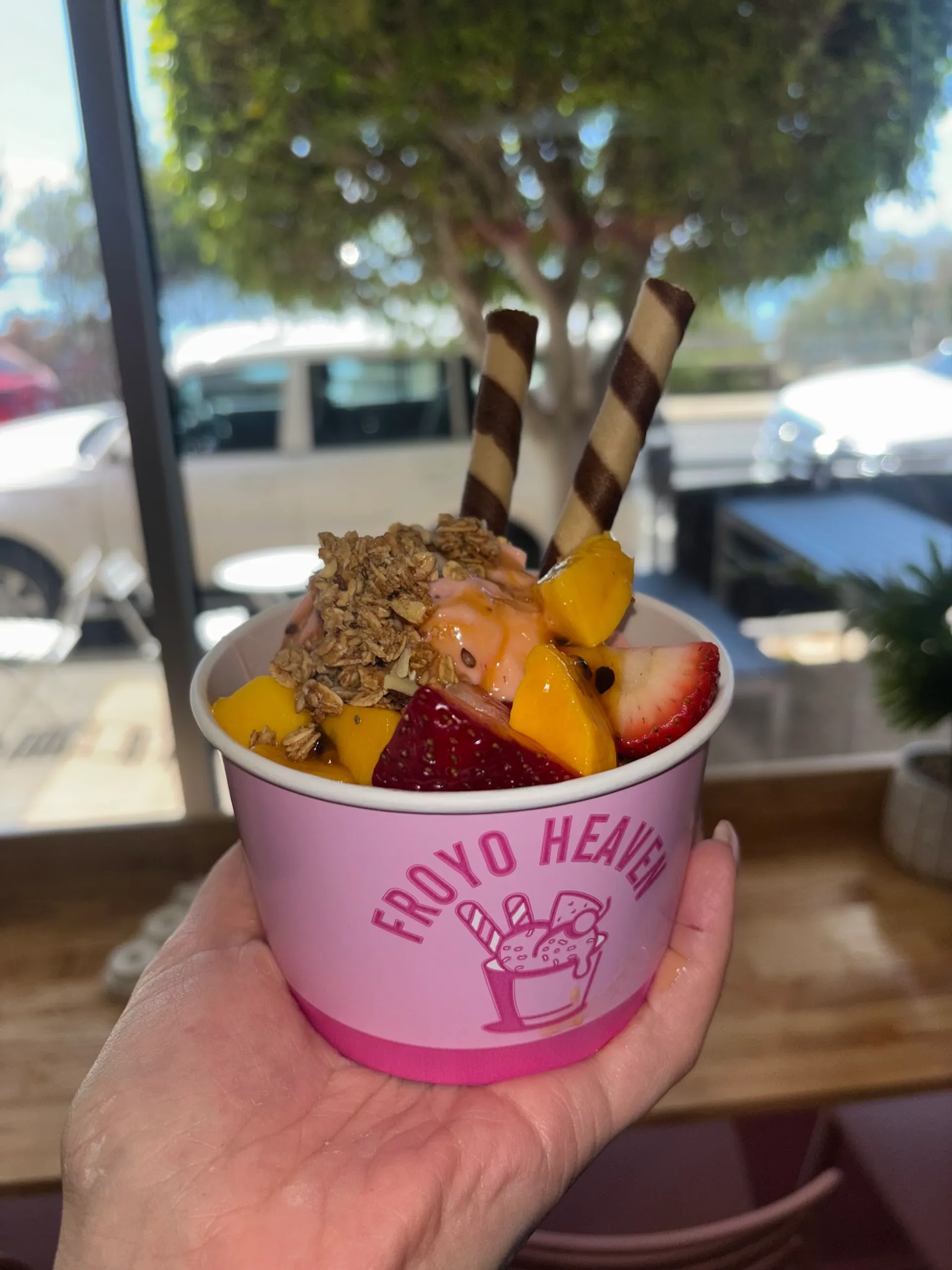Froyo Heaven cup with strawberries, mango, granola and wafer sticks against a sunny window