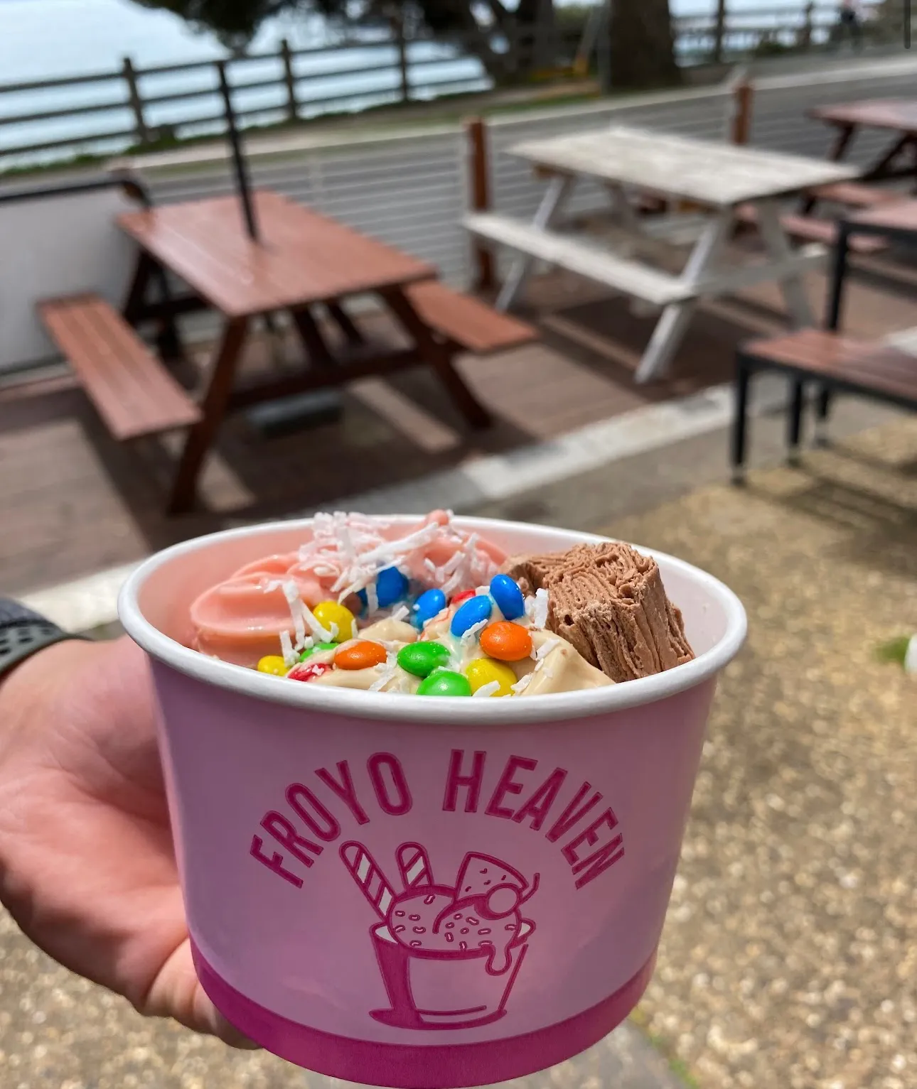 Froyo Heaven cup with colourful toppings held at the outdoor Cowes esplanade picnic benches